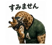 845030661