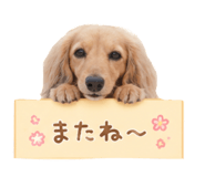 845030981