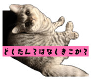 845031026