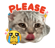 845031034