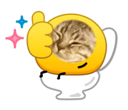 845031038