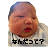 845031130