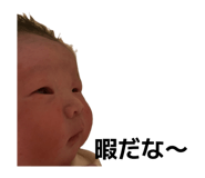 845031131