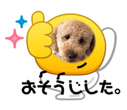 845031162