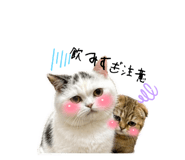 845031210