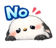 845031554