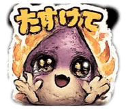 845031607