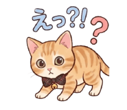 845031848