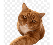 845031889