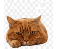 845031891