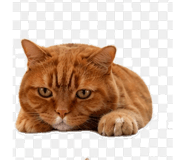 845031898