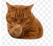 845031899