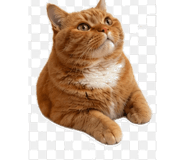 845031902