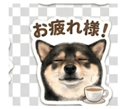 845032030
