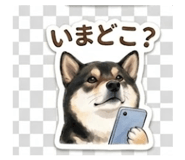 845032038