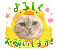 845032105