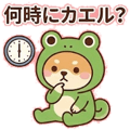 845032797