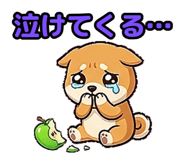 845033204