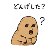 845033607
