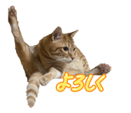 845033716
