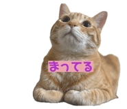845033721