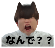 845033817