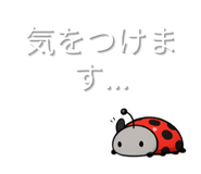 845034054