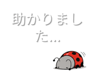 845034066