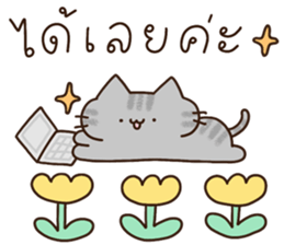 แมวนุ่มฟู (ทำงาน) 5