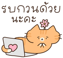 แมวนุ่มฟู (ทำงาน) 7