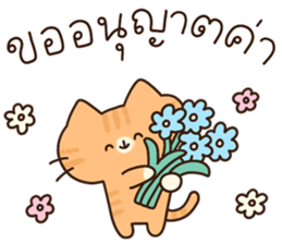แมวนุ่มฟู (ทำงาน) 13
