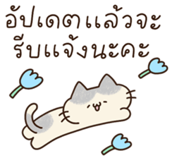 แมวนุ่มฟู (ทำงาน) 15