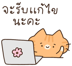แมวนุ่มฟู (ทำงาน) 21