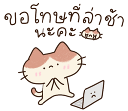 แมวนุ่มฟู (ทำงาน) 24