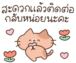 แมวนุ่มฟู (ทำงาน) 25