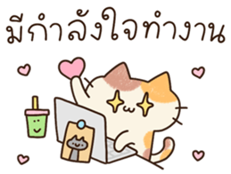 แมวนุ่มฟู (ทำงาน) 27