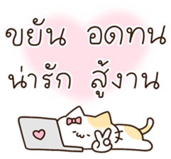 แมวนุ่มฟู (ทำงาน) 28