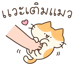 แมวนุ่มฟู (ทำงาน) 33