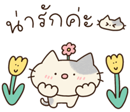 แมวนุ่มฟู (ทำงาน) 35