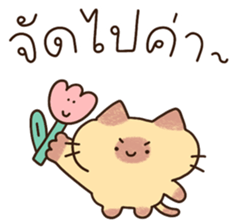 แมวนุ่มฟู (ทำงาน) 37