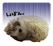 845034596