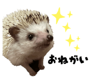 845034598