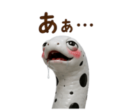 845034605