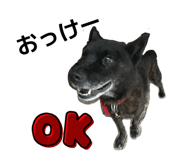 845034646