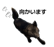 845034651