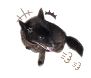 845034664