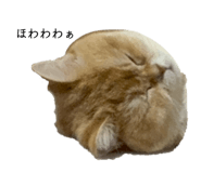 845034991