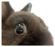845035052