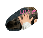 845035056