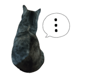 845035262